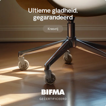 Afbeelding in Gallery-weergave laden,