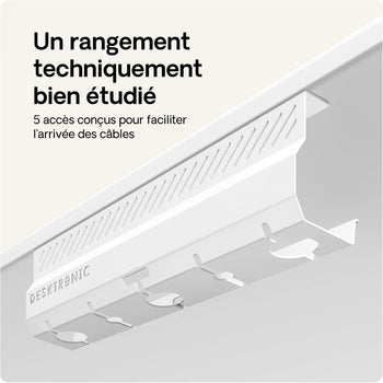 Charger l'image dans la galerie,