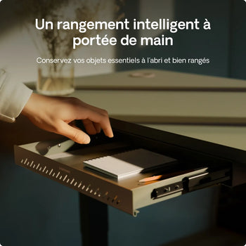 Charger l'image dans la galerie,