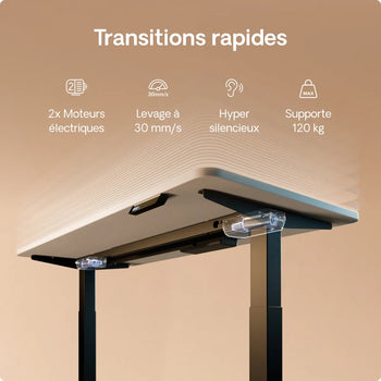 Charger l'image dans la galerie,