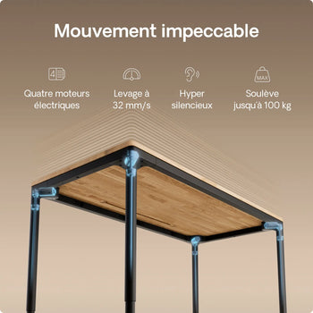 Charger l'image dans la galerie,