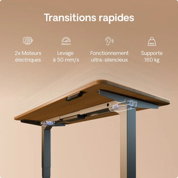 Charger l'image dans la galerie,