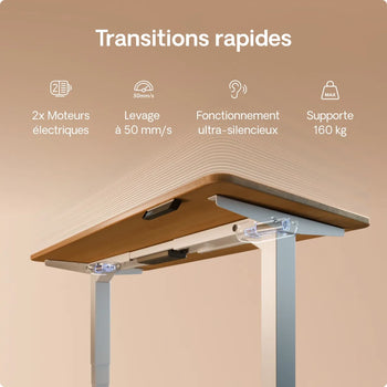 Charger l'image dans la galerie,