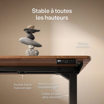 Charger l'image dans la galerie,