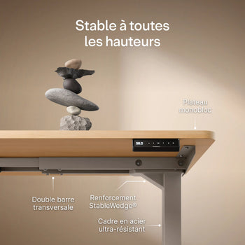 Charger l'image dans la galerie,