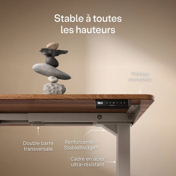 Charger l'image dans la galerie,