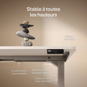 Charger l'image dans la galerie,