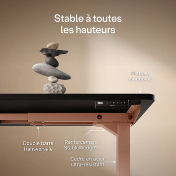 Charger l'image dans la galerie,