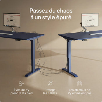 Charger l'image dans la galerie,