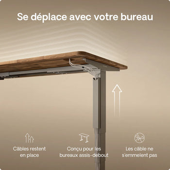 Charger l'image dans la galerie,