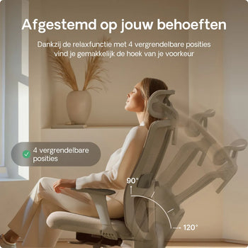 Afbeelding in Gallery-weergave laden,