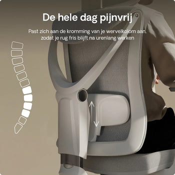 Afbeelding in Gallery-weergave laden,