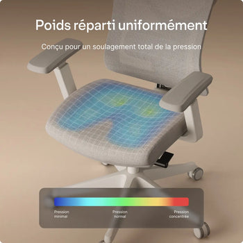 Charger l'image dans la galerie,