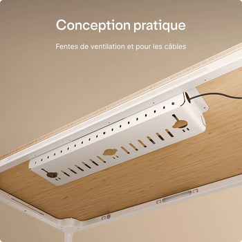 Charger l'image dans la galerie, 
