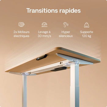 Charger l'image dans la galerie, 
