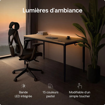 Charger l'image dans la galerie, 
