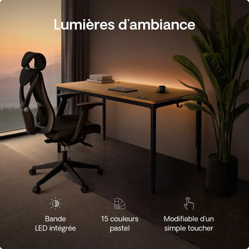 Charger l'image dans la galerie, 
