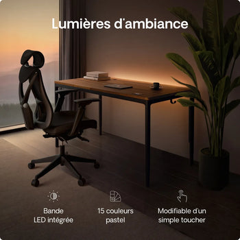 Charger l'image dans la galerie, 
