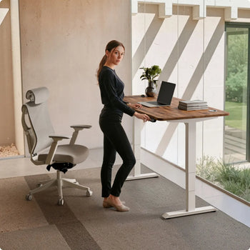 Charger l'image dans la galerie, 
