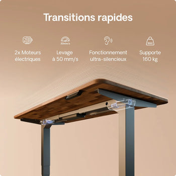 Charger l'image dans la galerie, 
