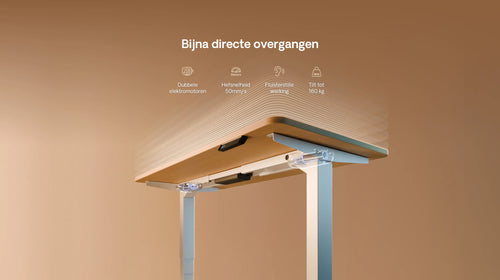 Bureau assis debout HomePro