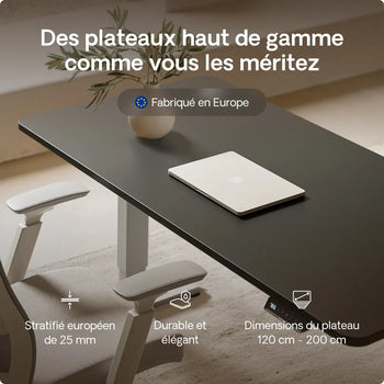 Charger l'image dans la galerie, 
