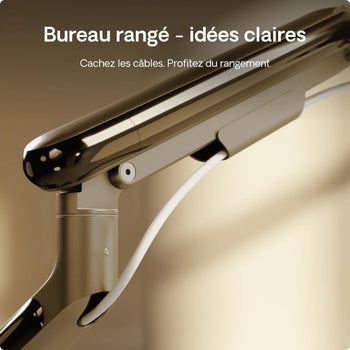 Charger l'image dans la galerie, 
