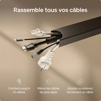 Charger l'image dans la galerie, 
