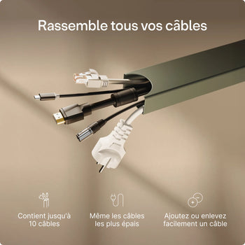 Charger l'image dans la galerie, 
