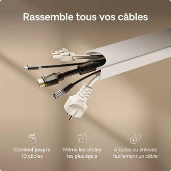 Charger l'image dans la galerie, 
