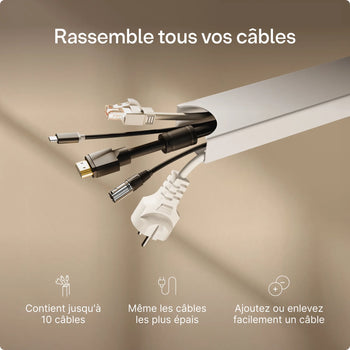 Charger l'image dans la galerie, 

