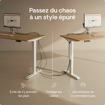 Charger l'image dans la galerie, 
