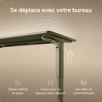 Charger l'image dans la galerie, 
