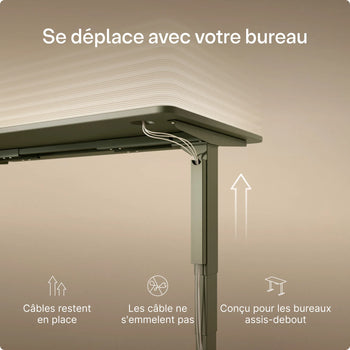 Charger l'image dans la galerie, 
