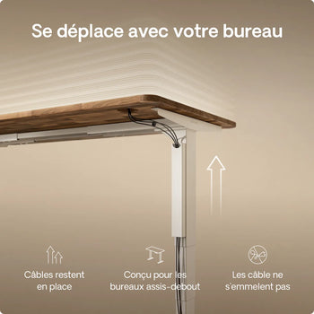 Charger l'image dans la galerie, 
