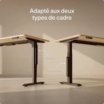 Charger l'image dans la galerie, 

