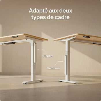 Charger l'image dans la galerie, 
