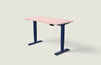Afbeelding in Gallery-weergave laden, HomePro bureau
