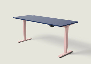 Afbeelding in Gallery-weergave laden, HomePro bureau
