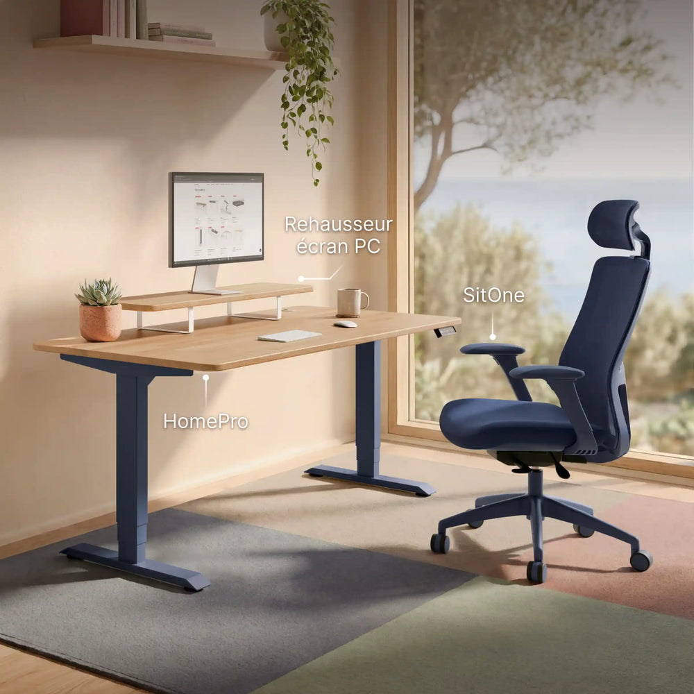 Chaise de bureau SitOne