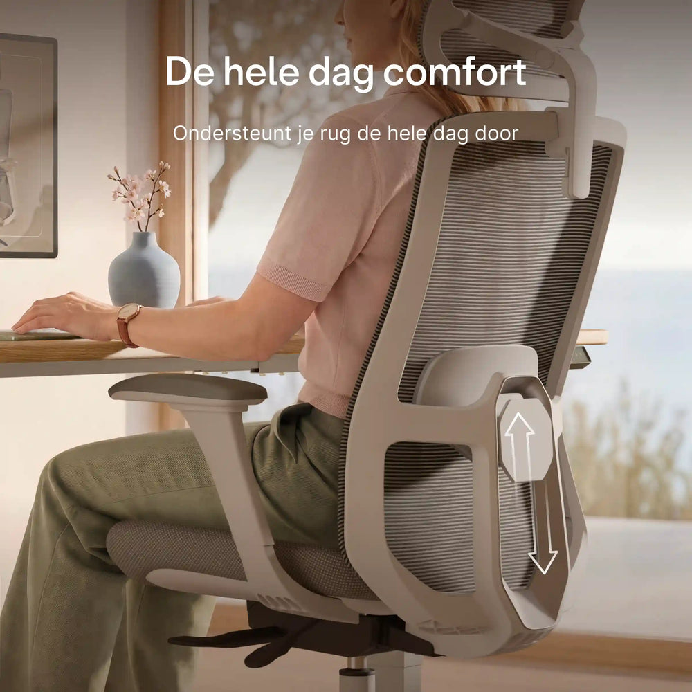 SitOne ergonomische bureaustoel