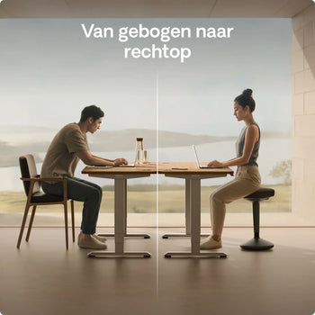 Afbeelding in Gallery-weergave laden, 
