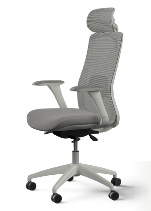 SitOne ergonomische bureaustoel